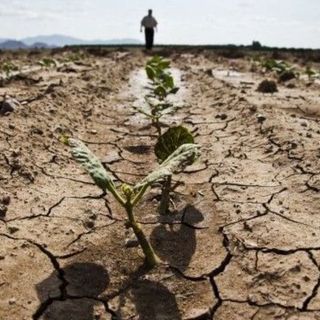 Caldo anomalo anche nei "giorni della merla", Coldiretti Cuneo lancia l'allarme siccità