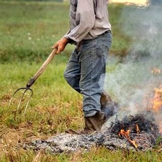 Vezza d'Alba, sospeso il divieto di abbruciamento di residui vegetali prodotti e bruciati sul posto Vezza d'Alba, sospeso il divieto di abbruciamento di residui vegetali prodotti e bruciati sul posto