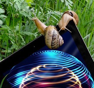 Mondodelvino a Helix 2020: sostenibilità e digitale per l’economia del futuro