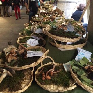 Appuntamenti nella Granda per questo ultimo fine settimana d’estate