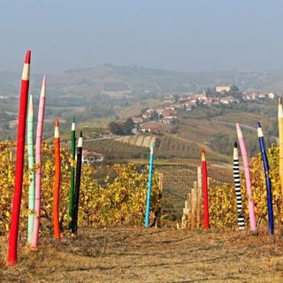 Domenica le colline Unesco di Coazzolo ospiteranno il primo ‘instameet’ dopo il lungo lockdown