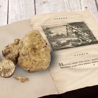 Vezza d’Alba, per la Fiera numero 40 il concorso letterario “Di tartufo si scrive"