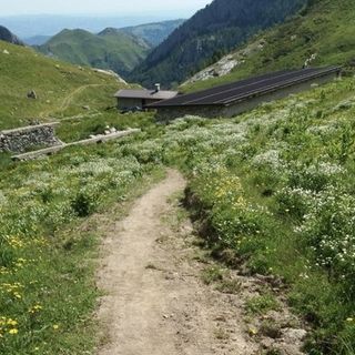 I sentieri sull'Alpe Seirasso