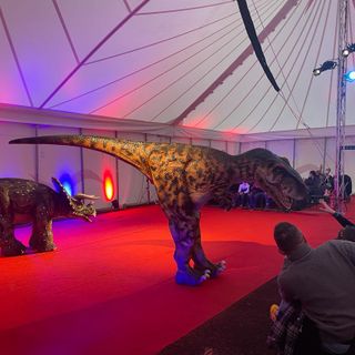 Ad Alba l'esilarante spettacolo "Dinosauri Vivi" Ad Alba l'esilarante spettacolo "Dinosauri Vivi"