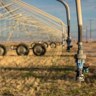 Clima, Coldiretti Cuneo: servono irrigazioni di soccorso e attenzione agli alpeggi Clima, Coldiretti Cuneo: servono irrigazioni di soccorso e attenzione agli alpeggi