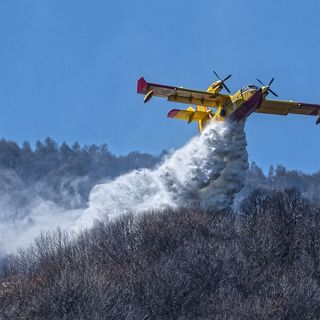 Foto di Paolo Masteghin