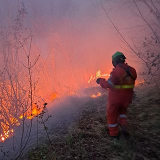 Domate le fiamme del vasto incendio boschivo divampato nei boschi di Perletto