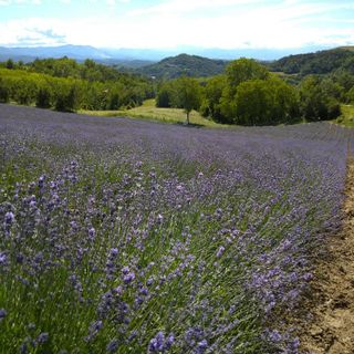 Foto di Silvano Giacosa
