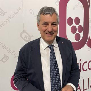 Icardi all'evento Vinitaly di Confagricoltura: “Dobbiamo tutelare la bovina piemontese, i nostri vini e formaggi” [VIDEO]