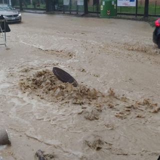 Il presidente della Regione: "Stato di emergenza anche per l'Albese, richiesti fondi per 2,5 milioni di euro"