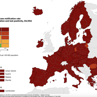 Mappa europea del contagio. Sesta settimana in rosso per il Piemonte