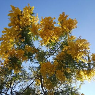 A Bra nuovi appuntamenti con “Marzo Donna”