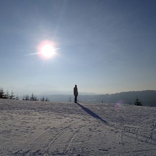 Immagine di repertorio da Pixabay