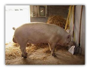 Immagine di repertorio