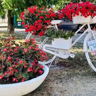 Santa Vittoria si prepara per l’edizione 2022 di “Paese in fiore”