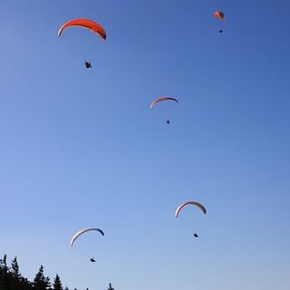 Alla scuola di Pace di Bra si parla di emergenza climatica