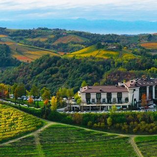 Sostenibilità, sicurezza e migliori performance nel vigneto con centraline meteo, droni e robot (VIDEO)