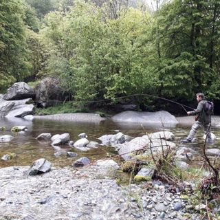 C’è il via libera all’immissione delle trote fario e iridee nelle acque della Granda