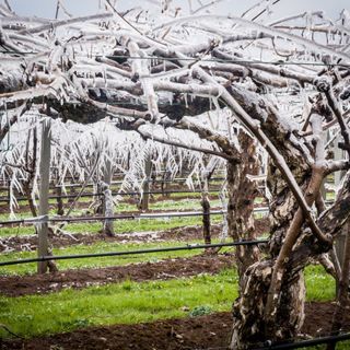 Immagine di repertorio