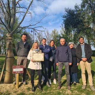 Privati si prendono cura dei giardini del Belvedere di Bra