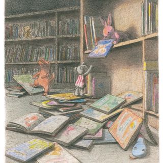 Biblioteca di Alba, al via la rassegna "l'albero racconta..." dal 5 luglio