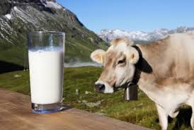 Accesso ai dati sulle importazioni di latte: il senatore Taricco chiede l'estensione della piena trasparenza