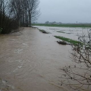 La pioggia regala una boccata d'ossigeno all'agricoltura in Granda. Ma il quadro complessivo resta drammatico La pioggia regala una boccata d'ossigeno all'agricoltura in Granda. Ma il quadro complessivo resta drammatico