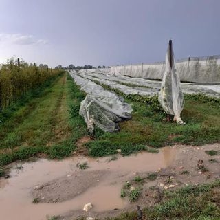 Ondata di maltempo su saluzzese, fossanese e zona di Dogliani: Cia Cuneo fa la conta dei danni