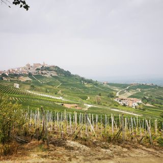 Tornano le “Passeggiate Gourmet” di Confartigianato Cuneo, tra “turismo slow” e imprese artigiane eccellenti