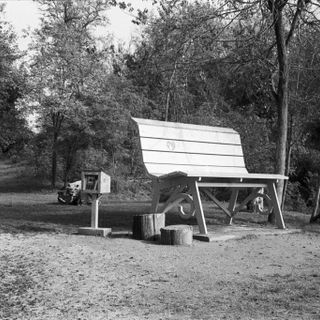 La storia del fotografo del Roero che sviluppa le foto con il succo di more La storia del fotografo del Roero che sviluppa le foto con il succo di more