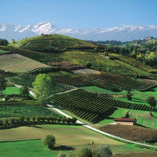 "Un colpo al cuore vedere le Langhe accostate a uno dei fenomeni criminali più potenti del mondo" "Un colpo al cuore vedere le Langhe accostate a uno dei fenomeni criminali più potenti del mondo"