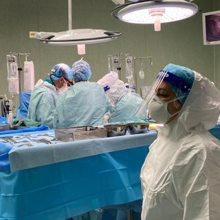 Bimba di 7 mesi salvata alle Molinette di Torino grazie al trapianto di una parte di fegato