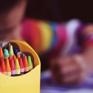 Alba: cataloghi con le proposte educative per le scuole