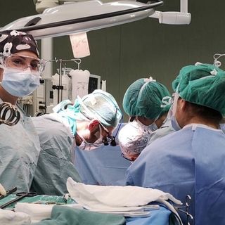 Trapianti di rene, il Piemonte taglia il traguardo dei 5000 interventi: un paziente su 10 è cuneese