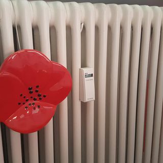 Immagine di repertorio Immagine di repertorio