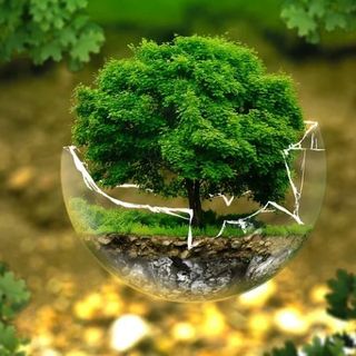 A Farigliano appuntamento con "Cine per la terra - dalla parte del suolo”