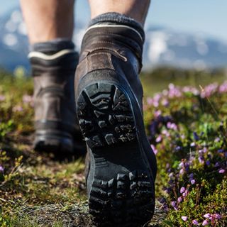 Immagine di repertorio