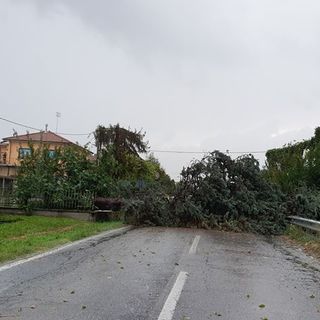 Foto inviate da un lettore dalla zona dei Trucchi