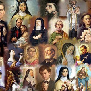 Schegge di luce: pensieri sui Vangeli festivi di padre Ermes Ronchi