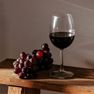 Un seminario di vitivinicoltura biologica presso la sede del Comizio agrario a Mondovì