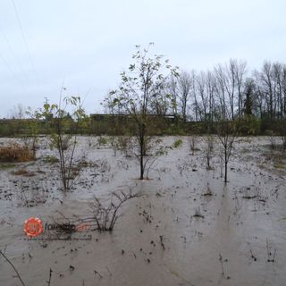 Maltempo in Piemonte: la Regione pronta a richiedere lo stato di emergenza