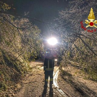 Immagine di repertorio Immagine di repertorio