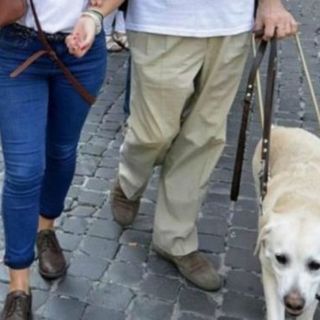 In Piemonte i ciechi e gli ipovedenti in cerca di occupazione sono centinaia. Difficile trovare lavoro se alle difficoltà ordinarie si aggiungono il pregiudizio e la diffidenza In Piemonte i ciechi e gli ipovedenti in cerca di occupazione sono centinaia. Difficile trovare lavoro se alle difficoltà ordinarie si aggiungono il pregiudizio e la diffidenza