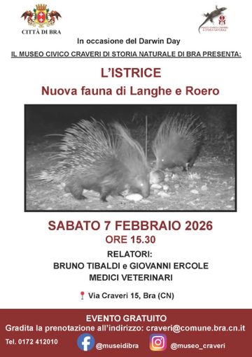 “L’istrice. Nuova fauna di Langhe e Roero”: se ne parla al Museo Craveri di Bra “L’istrice. Nuova fauna di Langhe e Roero”: se ne parla al Museo Craveri di Bra