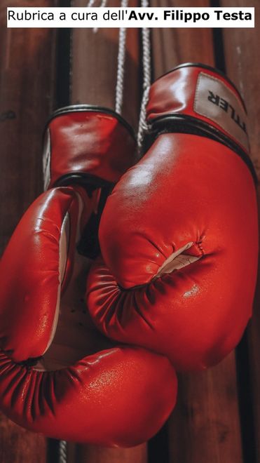 Caro vicino, ti denuncio!