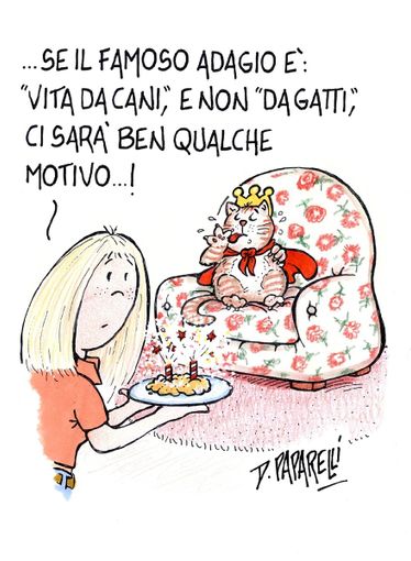 Oggi la Giornata Nazionale del Gatto