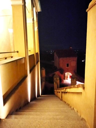 Ultime videoconferenze 2025 per insegnanti: approfondimenti storici e sociali con Polo Cittattiva Astigiano Albese Ultime videoconferenze 2025 per insegnanti: approfondimenti storici e sociali con Polo Cittattiva Astigiano Albese