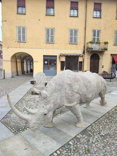 La scultura “Essere o avere”, raffigurazione di un pachiderma a grandezza naturale dell’artista Franco Alessandria