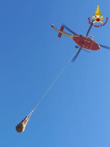 Immagine di archivio Immagine di archivio