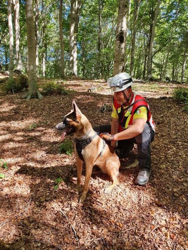 Esercitazione di cani da soccorso ad Alba: 27 unità cinofile da tutta Italia